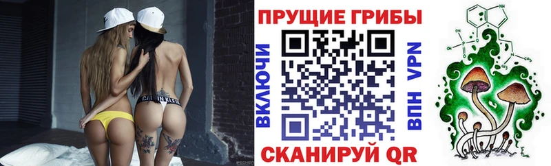 Псилоцибиновые грибы ЛСД Купить Навашино
