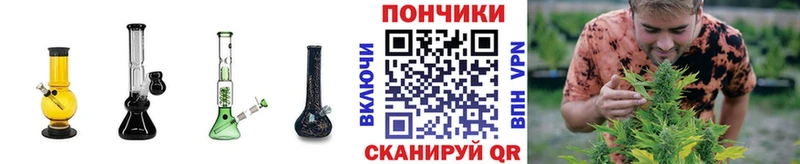 Бошки марихуана MAZAR Купить где Навашино
